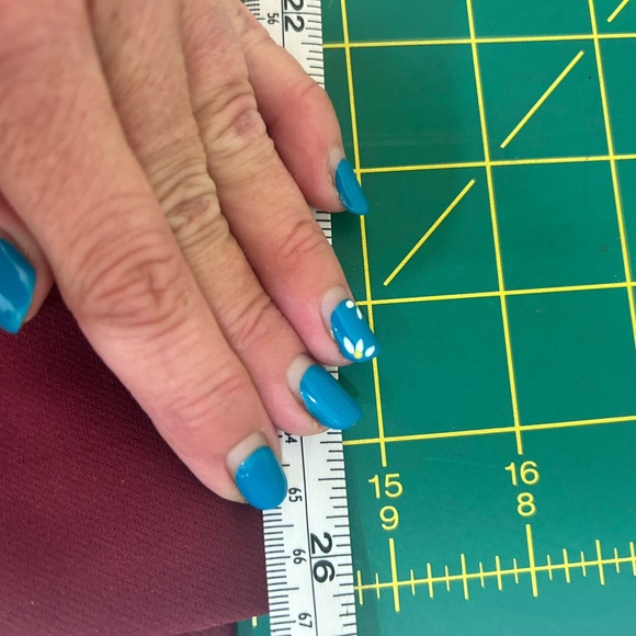 Rachel Zoe Wine Red Garment - Picture 6 of 9